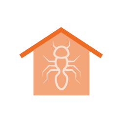 Vermin Damp and Mould Icon | Minimum Housing Standards | MHS Inspect